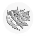 Maple Leaf tattoo design idea