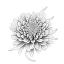 Chrysanthemum tattoo design idea