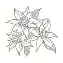 Edelweiss flower tattoo design idea