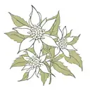 Edelweiss flower tattoo design idea