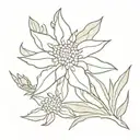 Edelweiss flower tattoo design idea