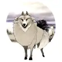 Wolf in sheep's clothing tattoo design idea
