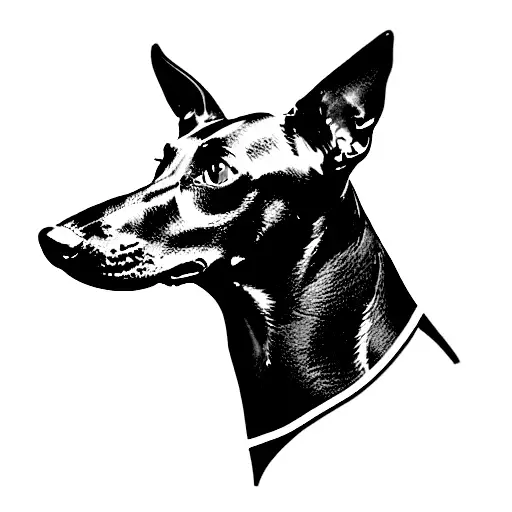black greyhound with pinky collar tattoo design idea