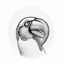 Toucan tattoo design idea