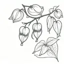 black bleeding hearts  tattoo design idea