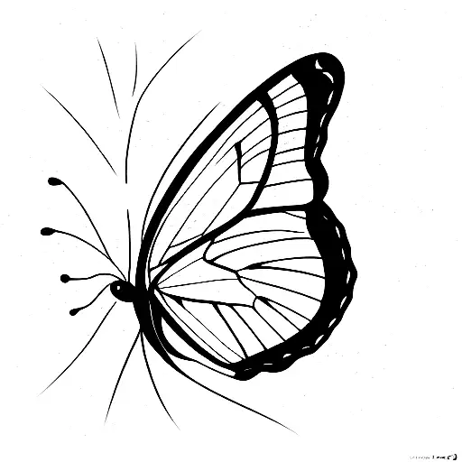 mariposa morpho con lineas alrededor tattoo design idea