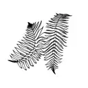 fine fern leaf  tattoo design idea