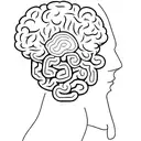 A colorful brain with intricate patterns representing different emotions and thoughts tattoo design idea