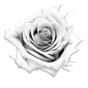 Rose with tiger and fillers  tattoo design idea