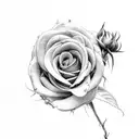 bean sprout with rose growing out of it tattoo design idea