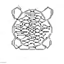 Chemical structure of a favorite pharmaceutical drug tattoo design idea