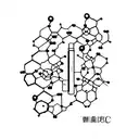 Chemical structure of a favorite pharmaceutical drug tattoo design idea