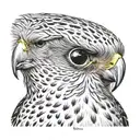Kestrel tattoo design idea