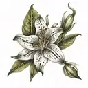 tiger lily flowe with moss  tattoo design idea