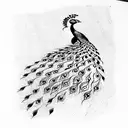 Peacock tattoo design idea