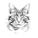 cat on a box  tattoo design idea