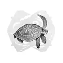 turtle with skull tattoo design idea