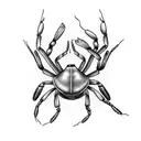 Fiddler crab anatomy tattoo design idea