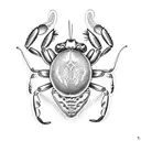 Fiddler crab anatomy tattoo design idea
