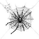 Spider Web tattoo design idea