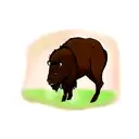 Bison tattoo design idea