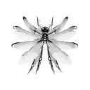 Dragonfly tattoo design idea