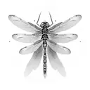 Dragonfly tattoo design idea