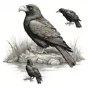 Make me a tattoo sketch of Elijah sitting by the brook with the two ravens bringing him meat and bread from the bible tattoo design idea