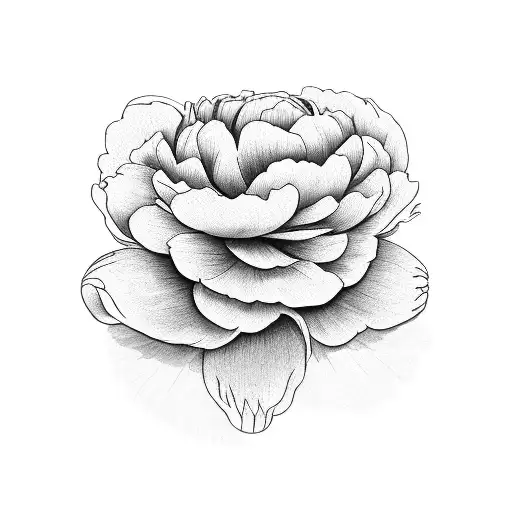 A beautiful peony flower blooming from a clenched fist, symbolizing strength and resilience tattoo design idea