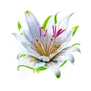 The Name Lily tattoo design idea
