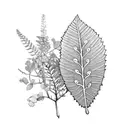 laurel wreath of jacaranda leaves, oak leaves, pepper tree leaves and peppercorns, strawberry leaves, eucalyptus leaves tattoo design idea