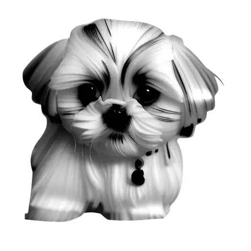 shih tzu tattoo design idea