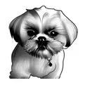 shih tzu tattoo design idea