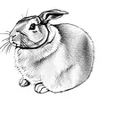 a rabbit on a black background tattoo design idea