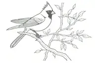 black  cardinal on a branch  tattoo design idea