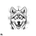 Husky tattoo design idea