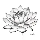 water Lilly, click, with the name Rayna Jane tattoo design idea