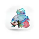 betta fish tattoo design idea