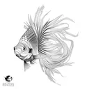 betta fish tattoo design idea