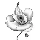 California poppy coming out of a grave tattoo design idea