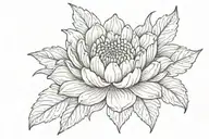 crysanthemum bundle no leaves  tattoo design idea