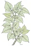 plant poison ivy tattoo design idea