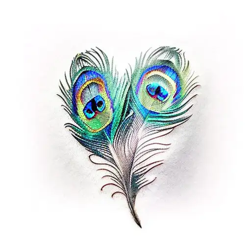 peacock feather  tattoo design idea