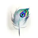 peacock feather  tattoo design idea
