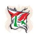 Palestinian flag tattoo design idea