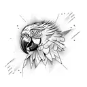 Blue and yellow macaw  tattoo design idea