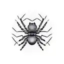 Spider tattoo design idea