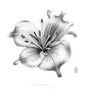 Lily tattoo design idea