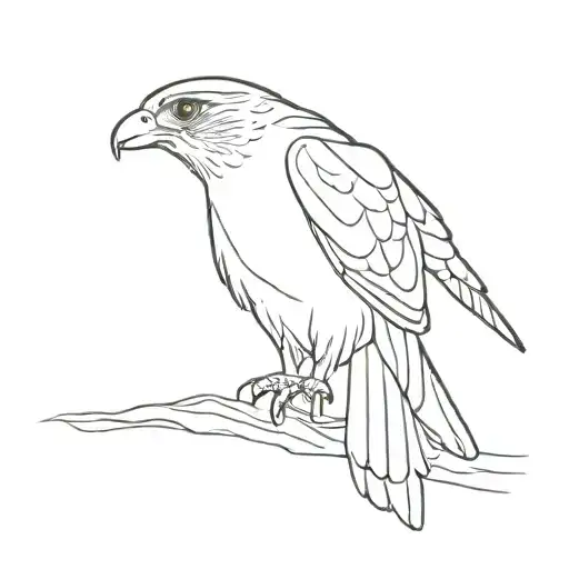 peregrine falcon diving tattoo design idea