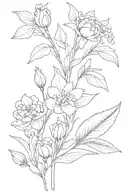 bouquet of lily of the valley, hawthorn, carnation, snowdrop, daffodil, chrysanthemum and the peony tattoo design idea